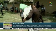 teleSUR Noticias: Al menos 28 muertos por alud de tierra en Colombia