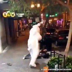 Feroz pelea callejera entre un 'conejo de Pascua' y una pareja en EE.UU.