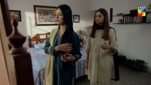 Mere Humdam Episode #13 HUM TV Drama 23 April 2019