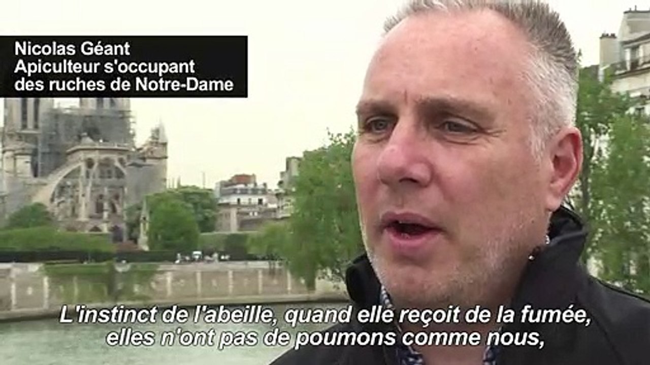 Rencontre avec le gardien des abeilles de Notre-Dame