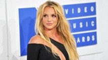Britney Spears Fans Protest in LA, Demand Pop Star Be Released From Treatment Facility | Billboard N