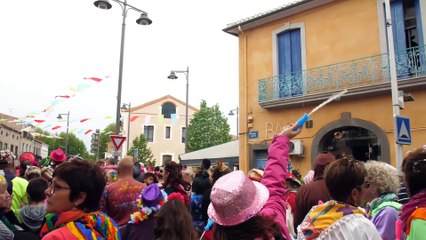 MARSEILLAN - La Parade des couleurs
