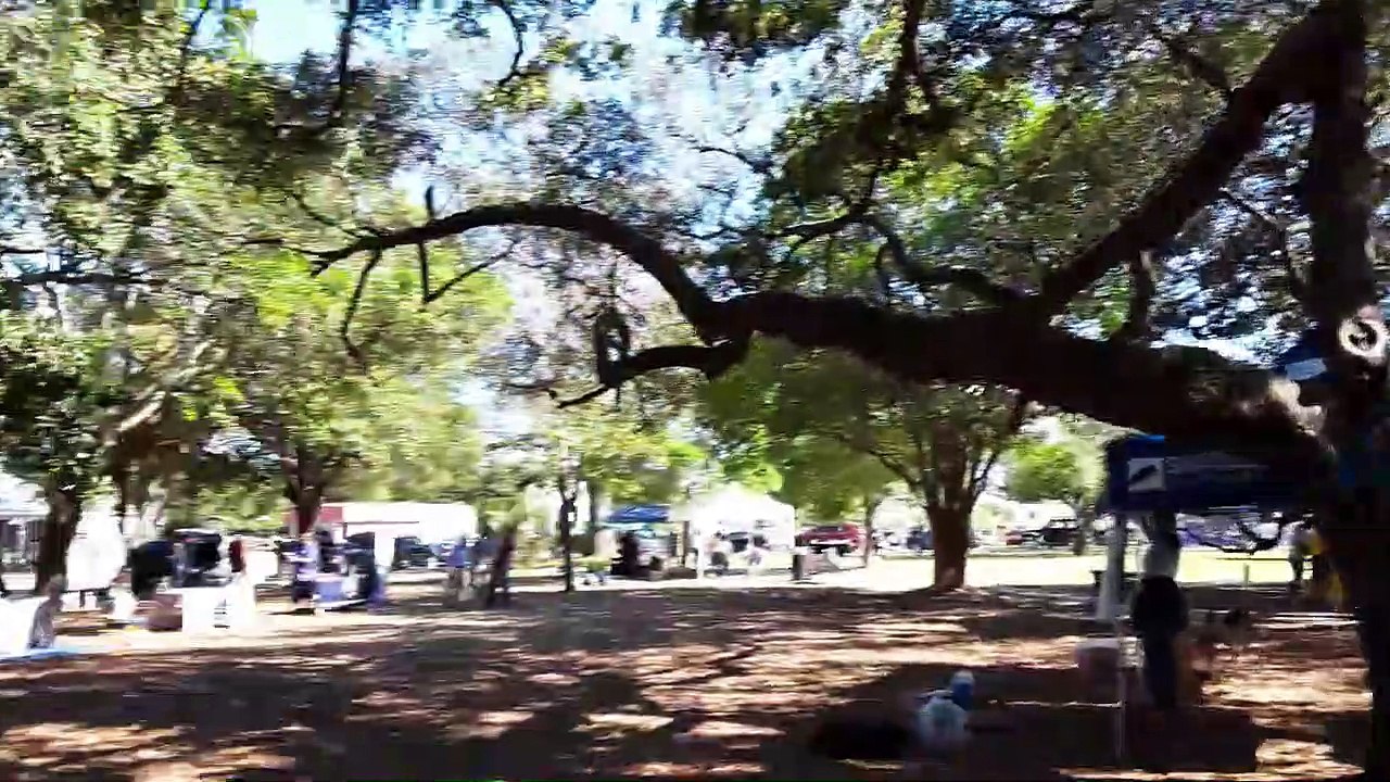 Vegan Earth Day Festival in Pensacola FL