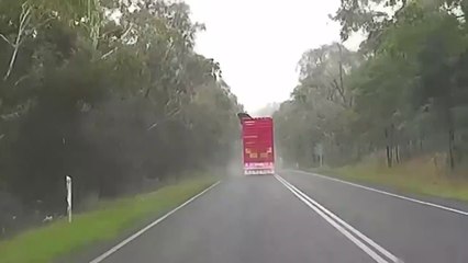 Descargar video: Une vache tente de s'échapper d'un camion ! Par le toit !!!