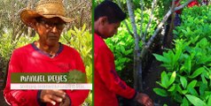 EN BOCA DE TODOS | Salvemos los manglares