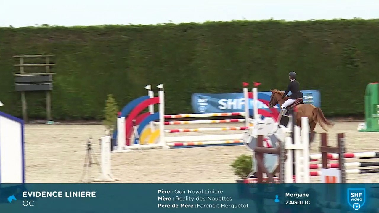 evidence 20190423 sancourt