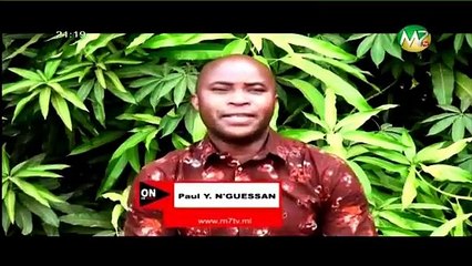 ON EN PARLE - QUEL BILAN TIRE DES 28 ANS DE LA DEMOCRATIE MALIENNE ?