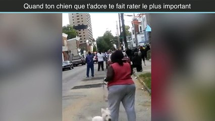 Quand tu rates la démolition d'un batiment à cause de ton chien... Dommage