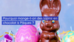 Pourquoi mange-t-on des lapins en chocolat à Pâques