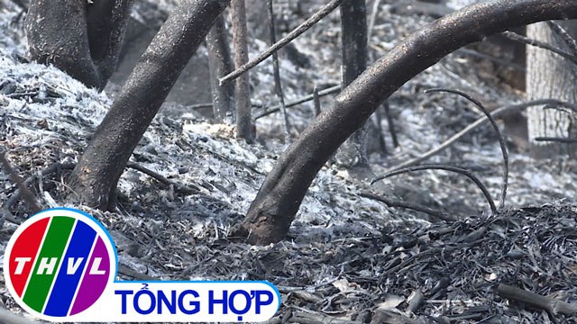 THVL | Cháy nhiều diện tích rừng tại Bà Rịa - Vũng Tàu trong những ngày nắng nóng