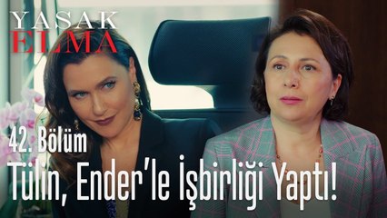 Tülin ve Ender işbirliği yapıyor! - Yasak Elma 42. Bölüm