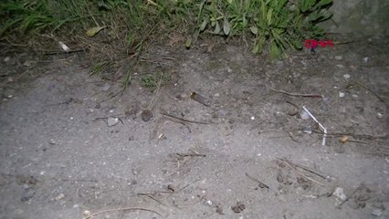 Maltepe'de Silahlı Kavga