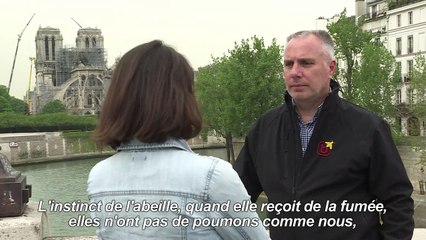 Rencontre avec le gardien des abeilles de Notre-Dame