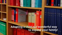 Lynette Boggs-Perez | You Must Know Before Choosing Adoption Attorney