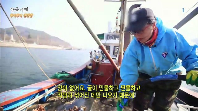 한국기행 - Korea travel_뚜벅뚜벅 섬진강 3부- 꽃 마중 하는 날_#002