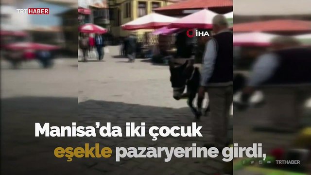 Eşekle pazara giren çocuklar ortalığı karıştırdı