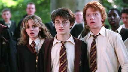 Take my galleons: Vans teases Harry Potter-themed merch
