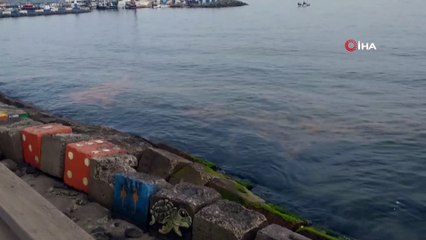 Marmara Denizi'nde korkunç manzara