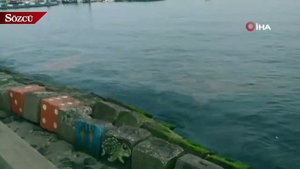 Sahil turuncuya büründü