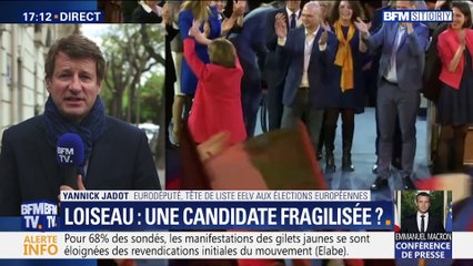 Européennes: "Si on veut s’attaquer aux paradis fiscaux, il nous faut l’Europe", Yannick Jadot