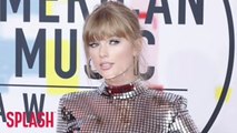 Taylor Swift Protected By Songwriting