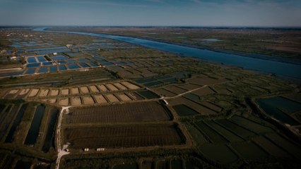 Découvertes - Mornac sur Seudre