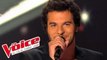 Elton John – Candle in the Wind | Amir Haddad | The Voice France 2014 | Blind Audition