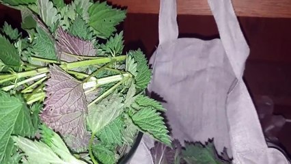 Jak radzi sobie wyciskarka z pokrzywa___ Wasze czeste pytanie--)