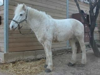 Mon histoire avec Montana