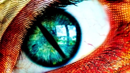 Os reptilianos estao dominando o planeta