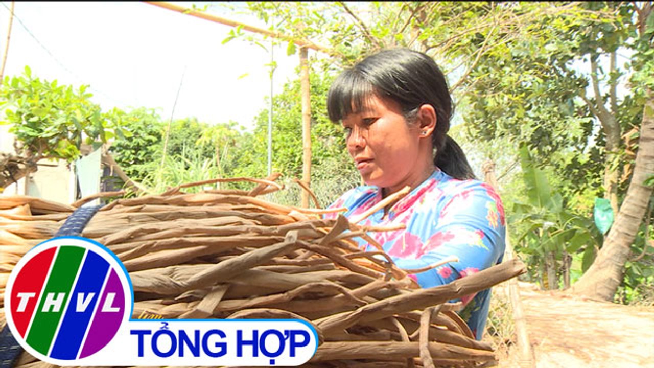 Trái tim nhân ái – Kỳ 483: Chị Trần Thị Giàu