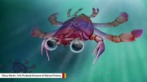 Scientists Say Newly Discovered Creature Is The Strangest Crab That Ever Lived