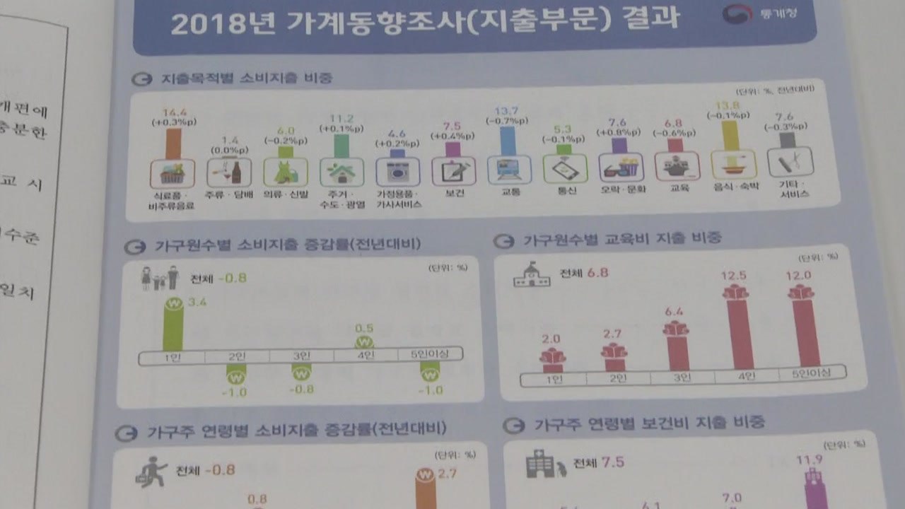 소비도 위축...지난해 실질 가계지출 2.2% 감소 / YTN