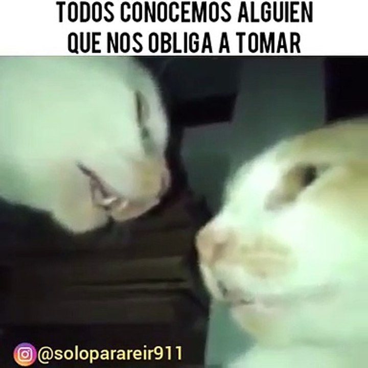 cuando tu mejor amigo te incentiva a tomar  :v