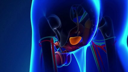 Santé - Cancer de la prostate : oui à la testostérone !