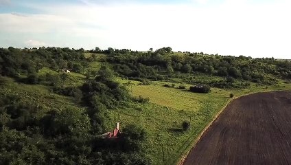 Greenery View - Zahra Armaghan