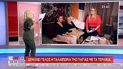 Πρόστιμο 2.600 ευρώ στη γιαγιά με τα τερλίκια