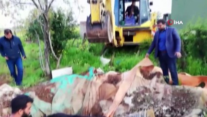 Foseptik çukuruna düşen inek kepçe yardımıyla saatler sonra kurtarıldı