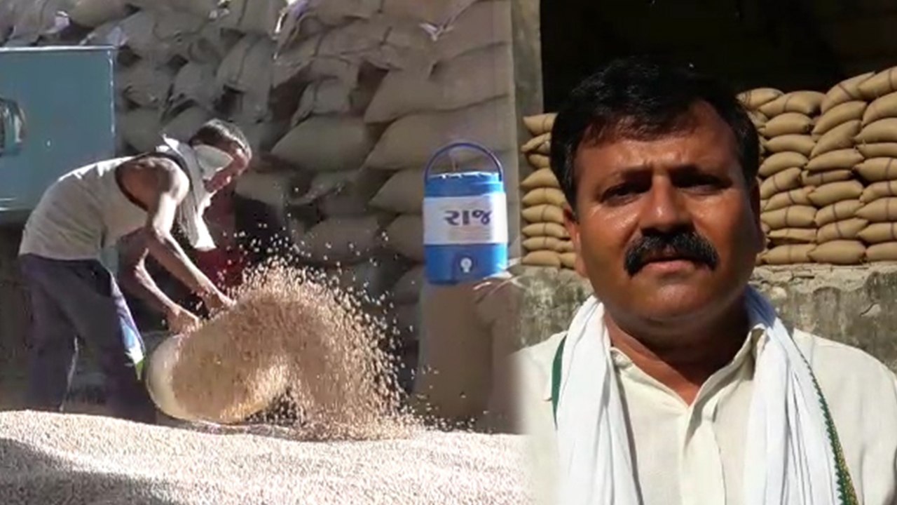 गुजरात में मूंगफली के बाद अब दाल की सरकारी खरीद में करोड़ों का घोटाला, देखें वीडियो