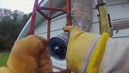 Hornets Nest attack