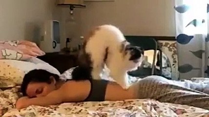 This cat is better than a physiotherapist