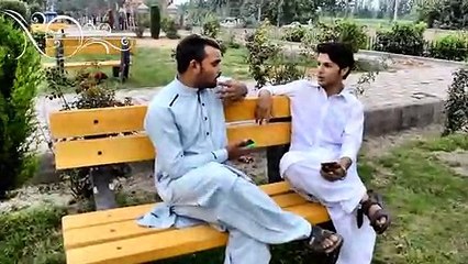 Charsadda Vines 2nd Trailer of Our 2nd Video - Funny Video By Charsadda Vines Official