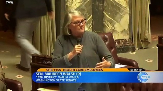 GOP Senator Maureen Walsh Claims Nurses 'Probably Play Cards For Most Of The Day'