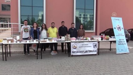 Öğrencilerden Sokak Hayvanları Yararına Kermes - Edirne