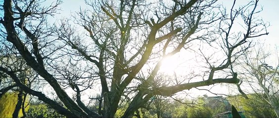 Ticy si Laura - Eu te-am iubit