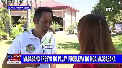 Mababang presyo ng palay, problema ng mga magsasaka