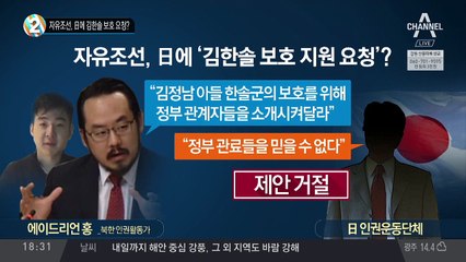 자유조선, 日에 김한솔 보호 요청?