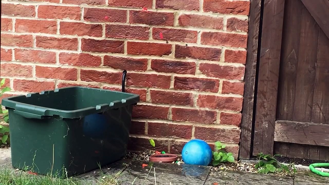 Fun playing with water balloons