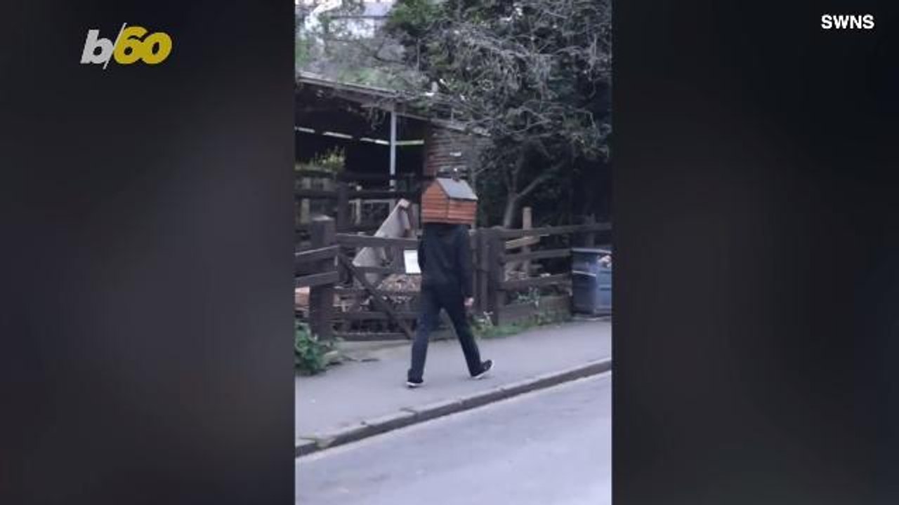 Bizarre Video Shows Man With Tiny Shed On His Head Walking Down Street With Fire Coming Out Of Chimney!