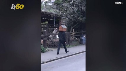 Bizarre Video Shows Man With Tiny Shed On His Head Walking Down Street With Fire Coming Out Of Chimney!